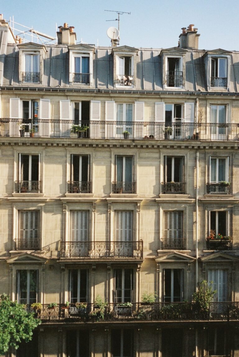 Immeuble haussmannien, bien residentiel ou professionnel